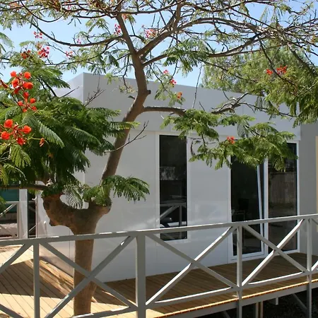 Mobile House Camping Nauta Las Galletas